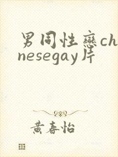 男同性恋chinesegay片封面