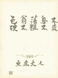 色翁荡息又大又硬又粗又爽电影