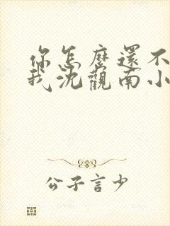 你怎么还不来哄我沈观南小说免费阅读