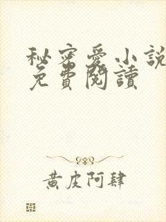 秘密爱小说原著免费阅读