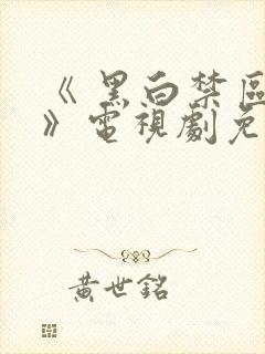 《 黑白禁区 》电视剧免费看封面