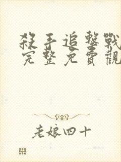 杀手追击战电影完整免费观看中文