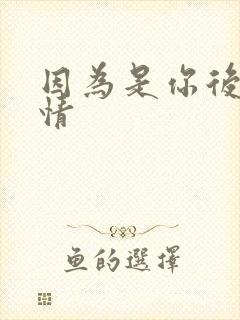 因为是你后续剧情