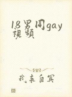 18男同gay视频