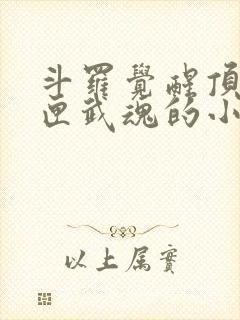 斗罗觉醒顶级剑匣武魂的小说