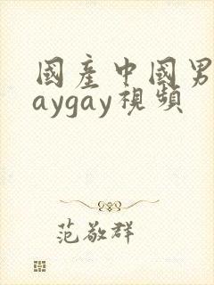 国产中国男男gaygay视频