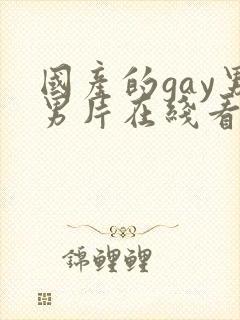 国产的gay男男片在线看