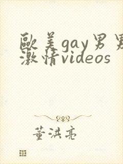 欧美gay男男激情videos