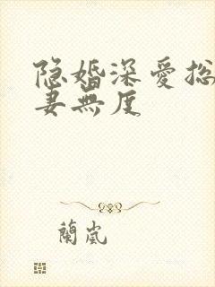 隐婚深爱总裁宠妻无度封面