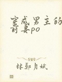 穿成男主的炮灰前妻po