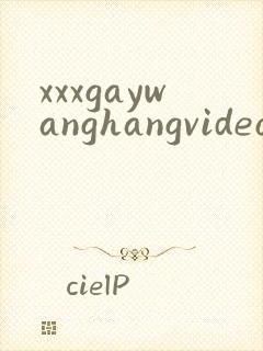 xxxgaywanghangvideos