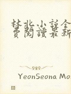 林北小说全文免费阅读最新章节