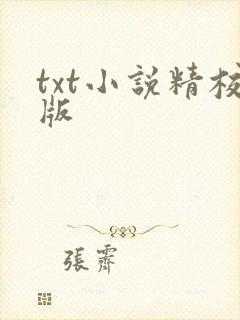 txt小说精校版