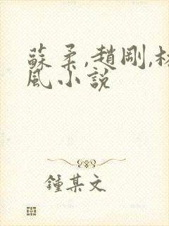 苏柔,赵刚,林风小说