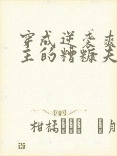 穿成逆袭爽文男主的糟糠夫(穿越重生)