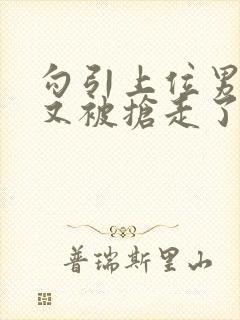 勾引上位男主们又被抢走了