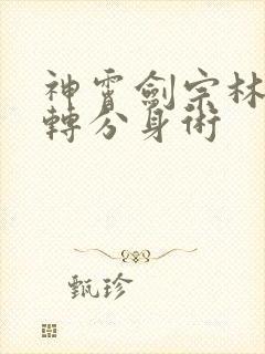 神霄剑宗林枫九转分身术