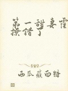 第一甜妻霍先生撩错了