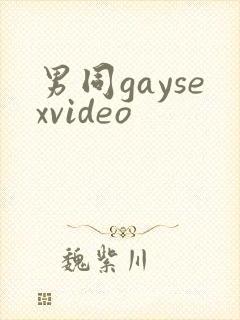 男同gaysexvideo