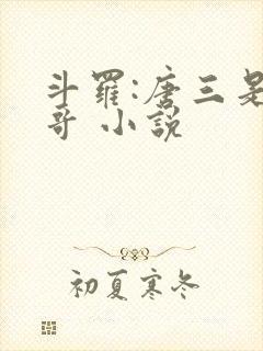 斗罗:唐三是我哥 小说