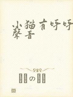 小猫有呼呼呼的声音