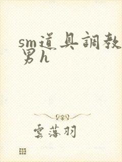 sm道具调教男男h