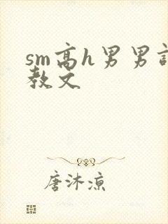 sm高h男男调教文