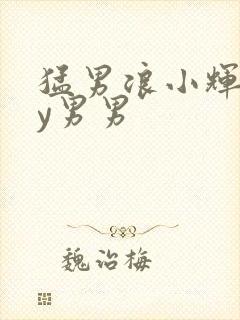 猛男浪小辉gay男男