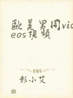 欧美男同videos视频