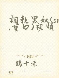 调教男奴(sm,重口)视频