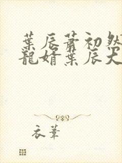 叶辰萧初然上门龙婿叶辰大结局