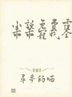 小说免费霍先生乖乖宠我全文阅读