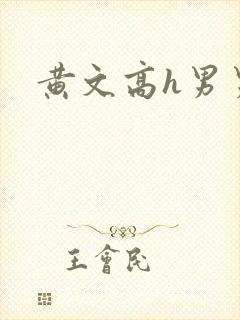 黄文高h男男