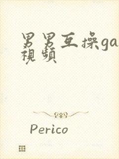 男男互操gay视频