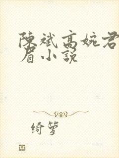 陈斌高婉君赵心眉小说