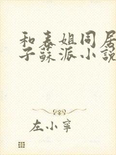 和表姐同居的日子苏派小说封面