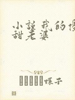 小说 我的傻白甜老婆