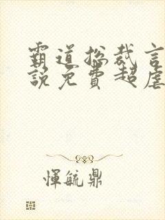 霸道总裁言情小说免费超虐