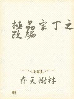 极品家丁之绿帽改编