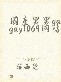 国产男男gaygay1069网站