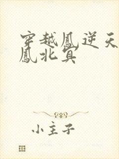 穿越凤逆天下之凤北冥