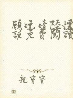 顾晚晴陆怀铮小说免费阅读最新章节封面