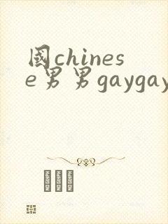 国chinese男男gaygay网站