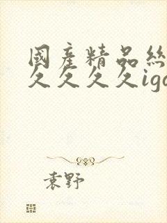 国产精品丝袜久久久久久igao