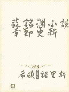 苏铭渊小说最新章节更新