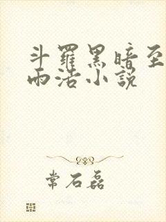 斗罗黑暗至尊霍雨浩小说封面