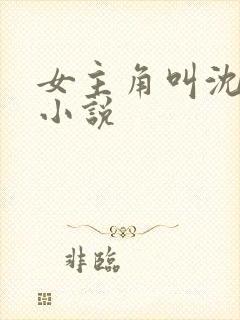 女主角叫沈妩的小说