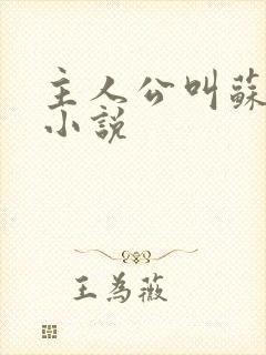 主人公叫苏晚的小说