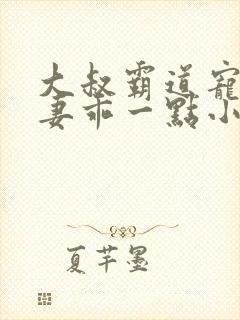 大叔霸道宠小甜妻乖一点小说