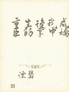 重生后我成了权臣的掌中娇怎么样